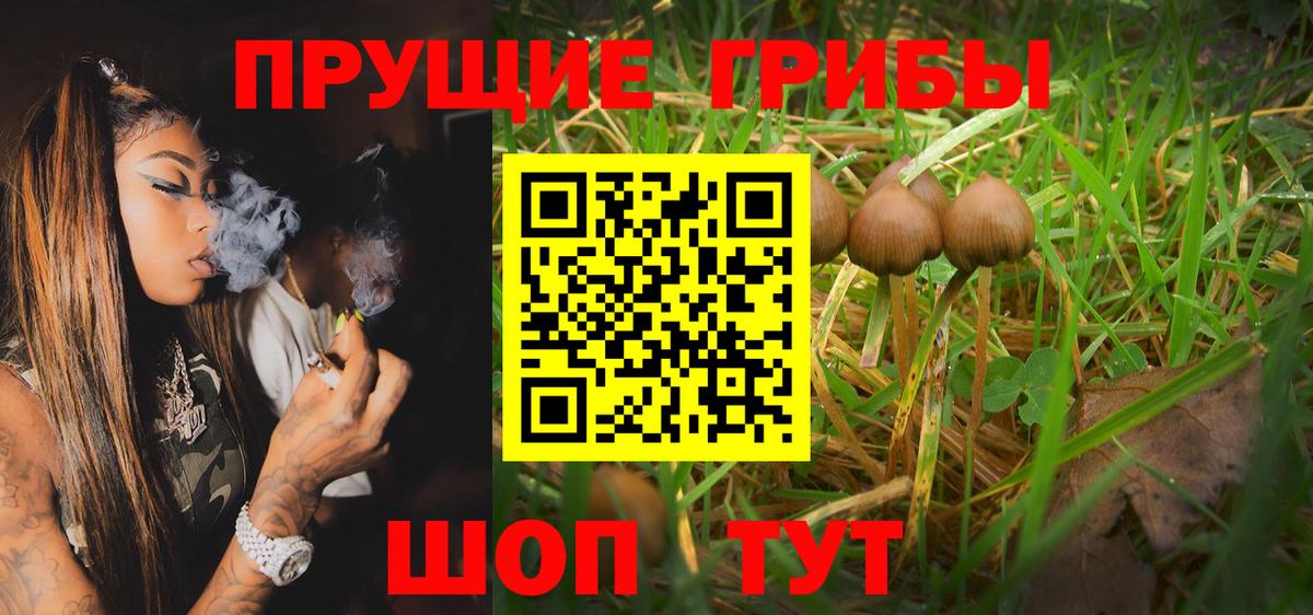 Галлюциногенные грибы мицелий Трёхгорный